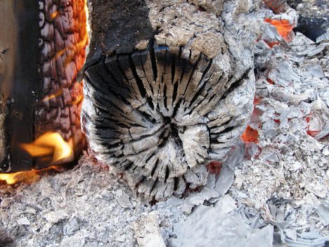 Frische Holz-Asche, Foto (C) Erich Ferdinand / flickr
