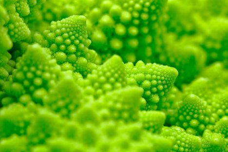 Romanesco-Gemüsekohl, gewachsen nach dem Bauplan der Natur, Foto (C) Nicolas Reymond / flickr