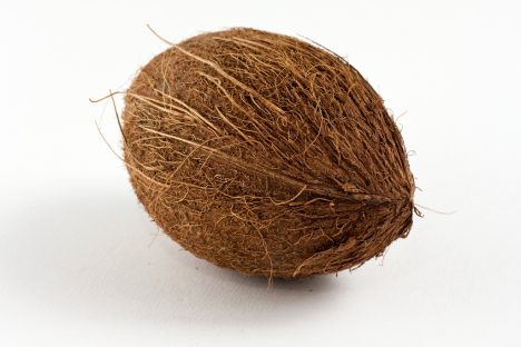 Auch Kokosnüsse, Kiwis und viele andere Früchte sind eiförmig. Foto (C) Horia Varlan / flickr