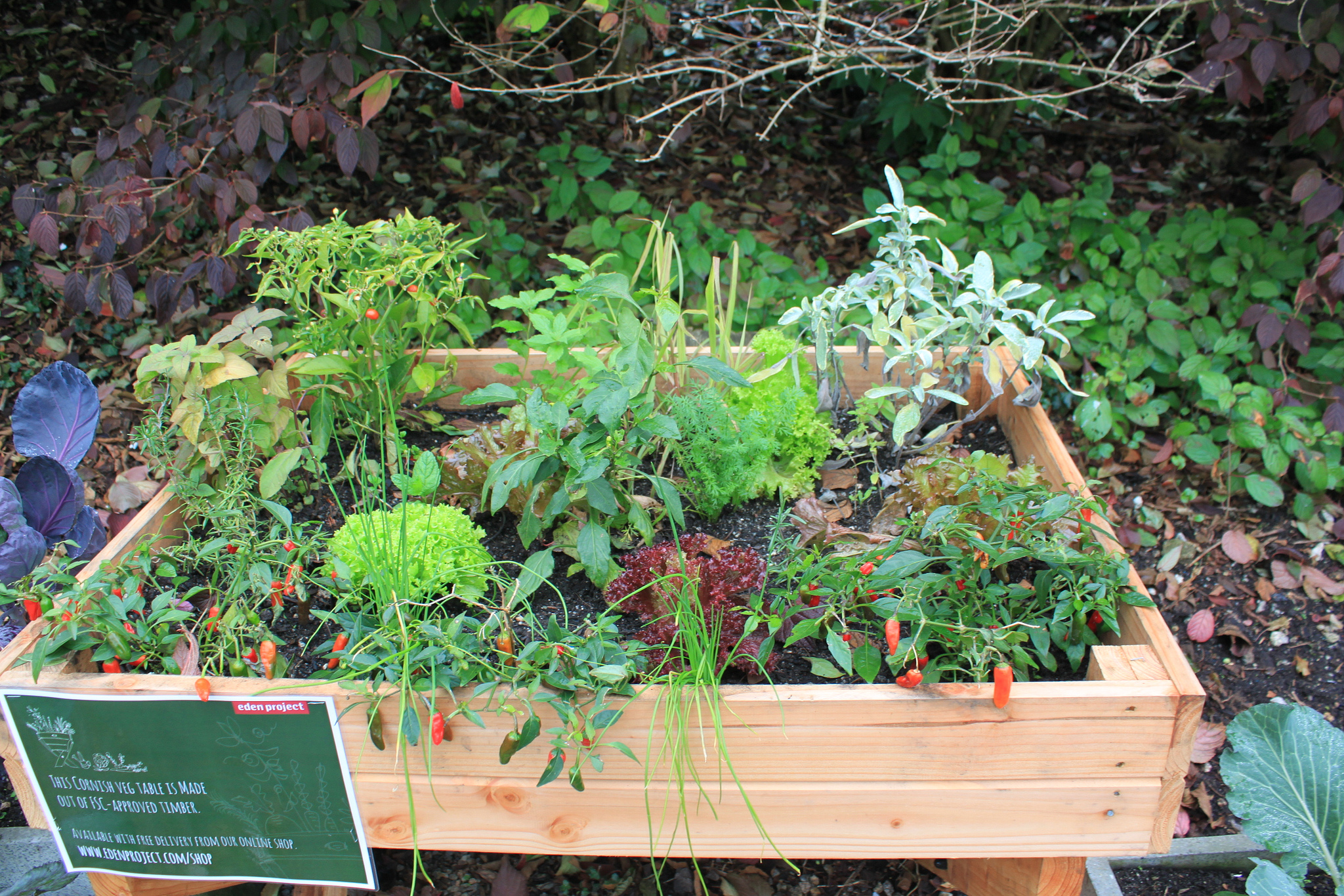 Auch ein Gemüsegarten kann eine Form des Widerstandes sein. Foto (C) Jennifer C. / flickr