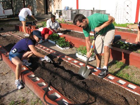 Gemeinschaftsgarten, Foto (C) Gabriel Kamener, Sown Together / flickr