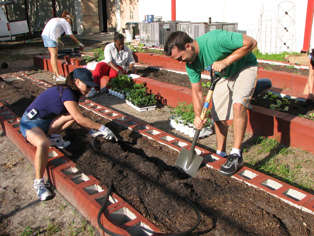 Gemeinschaftsgarten, Foto (C) Gabriel Kamener, Sown Together / flickr