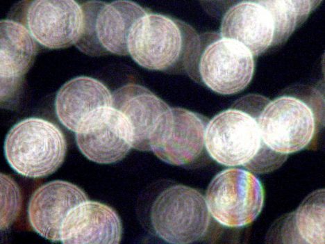 Orbs, Foto (C) frankieleon / flickr