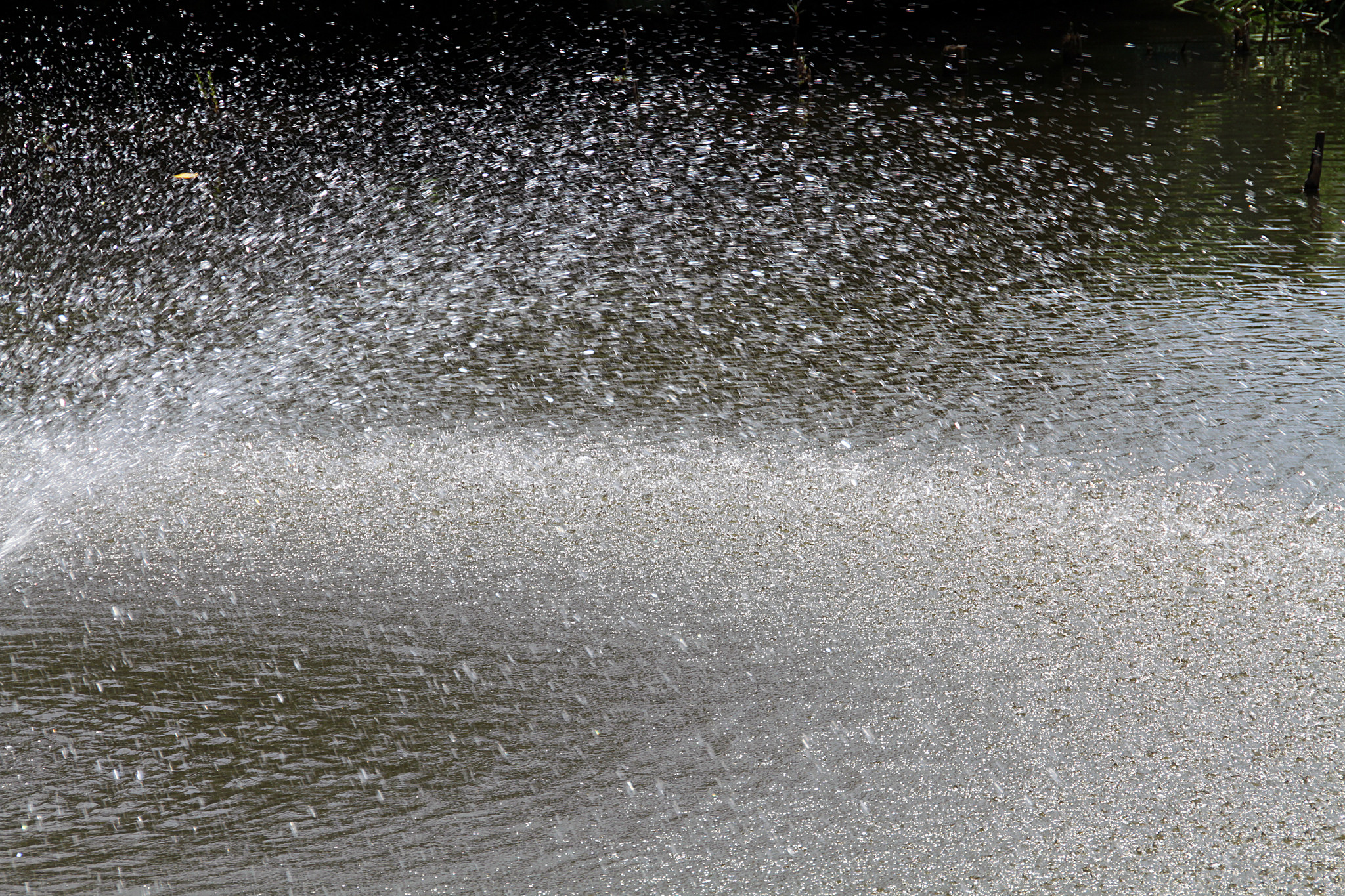 Der Bosch-Water-Boost sorgt mit einem feinen Sprühnebel für Kühlung. Symbol-Foto (C) Toshihiro Oimatsu / flickr