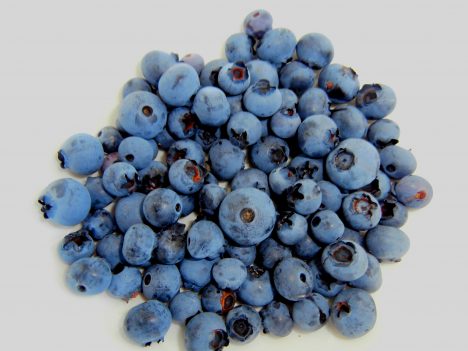 Blaubeeren, Foto (C) Jennifer C. / flickr