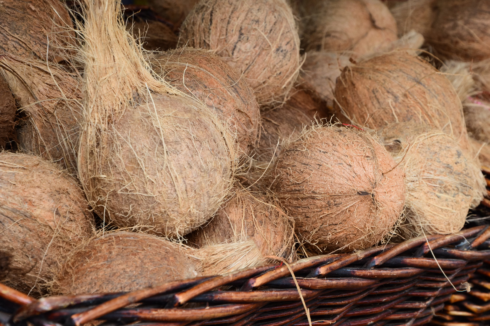 Kokosnüsse haben mehr Fett als Kohlenhydrate, Foto (C) Theo Crazzolara / flickr