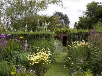 Cottagegarten, Foto (C)Tony Hisgett / flickr CC BY 2.0