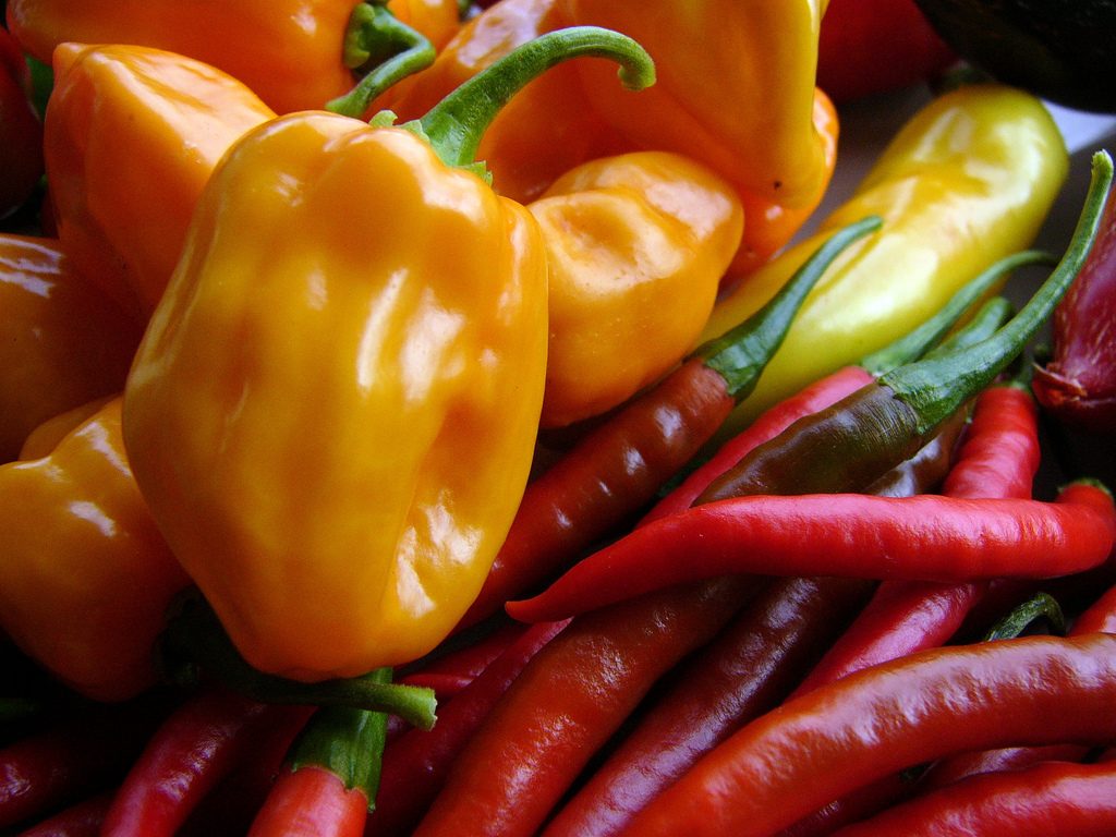 Paprika und Chili, Foto (C) John Winkelman / flickr CC BY 2.0
