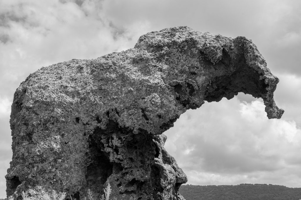 Der berühmte Elephant-Rock in Sardinien, Foto (C) Nicolas Vollmer / flickr CC BY 2.0