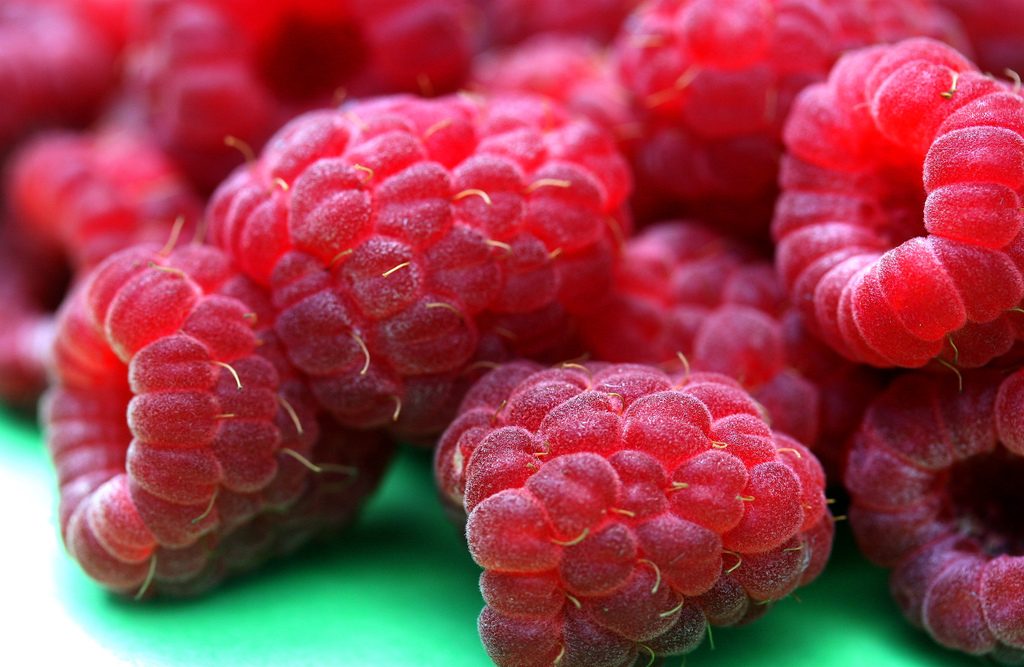 Himbeeren: so lecker, aber frisch nicht lange haltbar. Foto (C) liz west / flickr CC BY 2.0