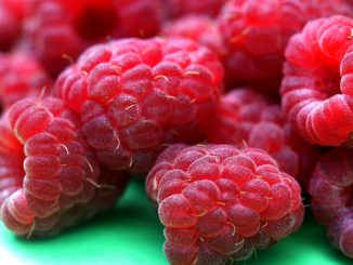 Himbeeren: so lecker, aber frisch nicht lange haltbar. Foto (C) liz west / flickr CC BY 2.0