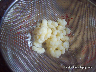 So sehen Kefir-Knollen aus. Foto (C) Cara Faus / flickr CC BY 2.0