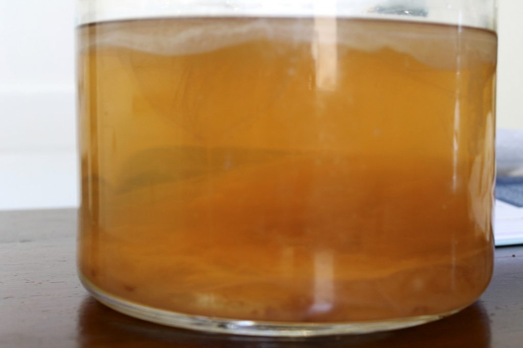 Selbst hergestellter Wassermelonen-Kombucha, Foto (C) thedabblist / flickr CC BY 2.0
