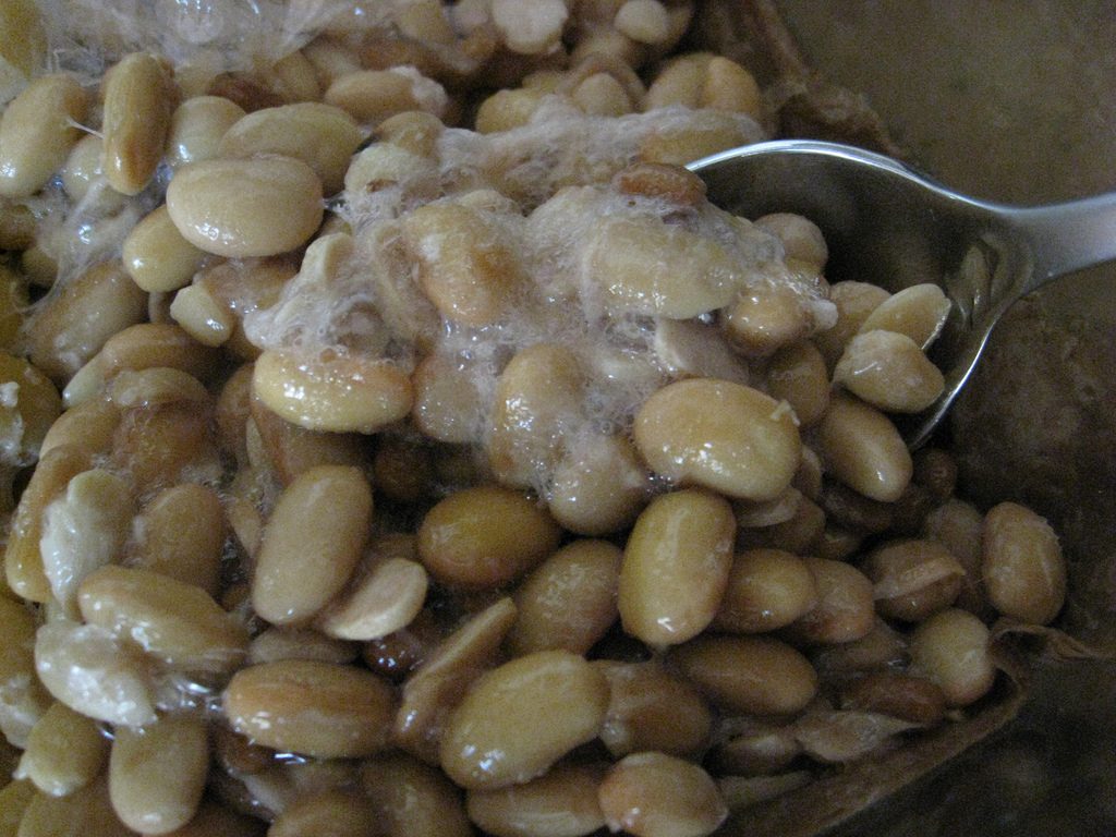 Fermentierte Sojabohnen mit probiotischer Wirkung, Foto (C) taylorandayumi / flickr CC BY 2.0