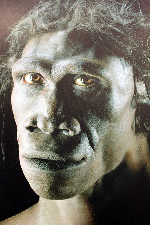 So soll ein Homo erectus ausgesehen haben. Foto (C) flowcomm / flickr CC BY 2.0