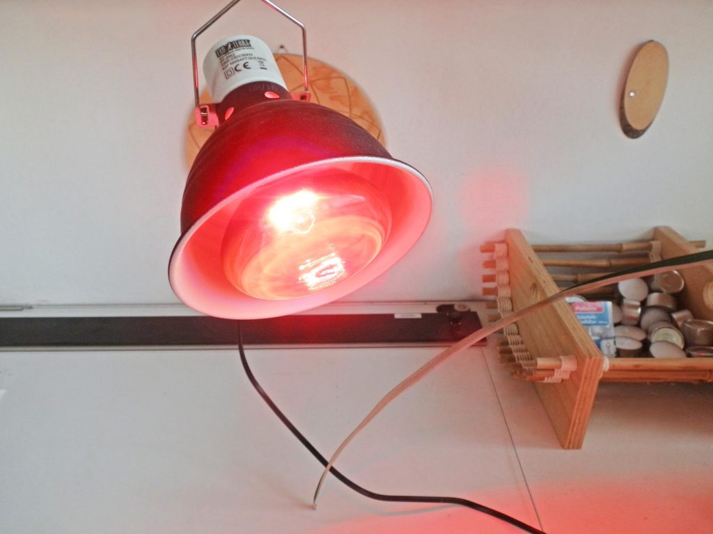 Infrarot-Lampe in hitzebeständiger Keramikfassung. Foto (C) Irmgard Brottrager