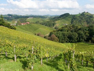Südsteiermark, Foto (C) MaxPower0815 / flickr CC BY 2.0