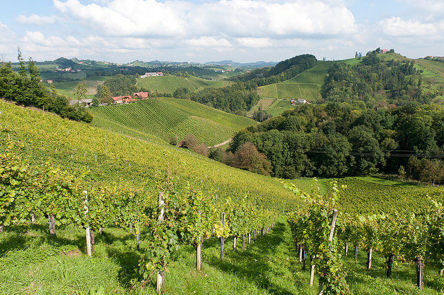 Südsteiermark, Foto (C) MaxPower0815 / flickr CC BY 2.0