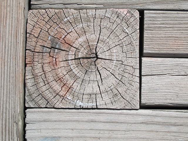Konstrukionsdetail mit Hirnholz, Foto: bptakoma / flickr CC BY 2.0