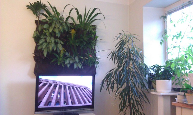 Hier hatte jemand eine gute Idee: Über dem Monitor ist eine kleine Greenwall platziert, die zusammen mit anderen Zimmerpflanzen für harmonische Schwingungen sorgt. Foto: mannewaar / flickr CC BY 2.0