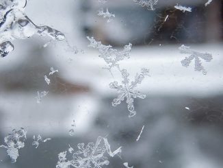 Foto: Javonni Christopher / flickr CC BY 2.0