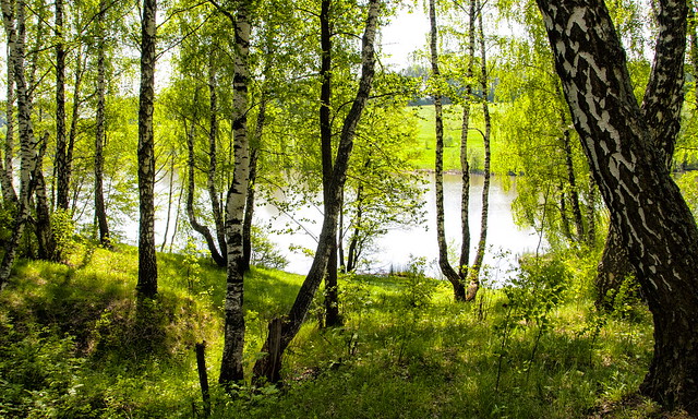 Foto: Art (RUS) Potosi / flickr CC BY 2.0