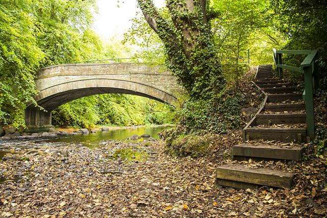 Typisch September: Noch grün, aber bereits herbstlich. Foto: John_McK / flickr CC BY 2.0