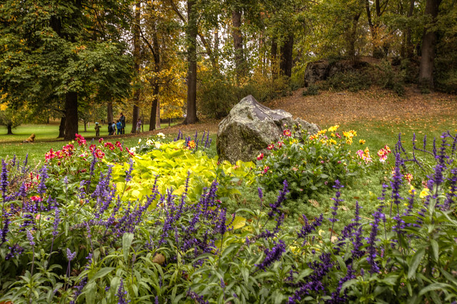 Auch im Herbst und Winter gedeihen Blumen. Foto: Sjensen~ / flickr CC BY 2.0