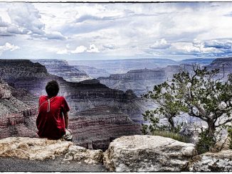 Meditation ist ein gutes Mittel, um die Achtsamkeit zu trainieren, den Geist frei zu halten und sich vor Emotionen zu schützen, Foto: Alan E / flickr CC BY 2.0
