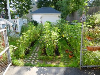 Fast unsichtbarer Gartenweg mit Trittsteinen. Foto: Lake Lou / flickr CC BY 2.0