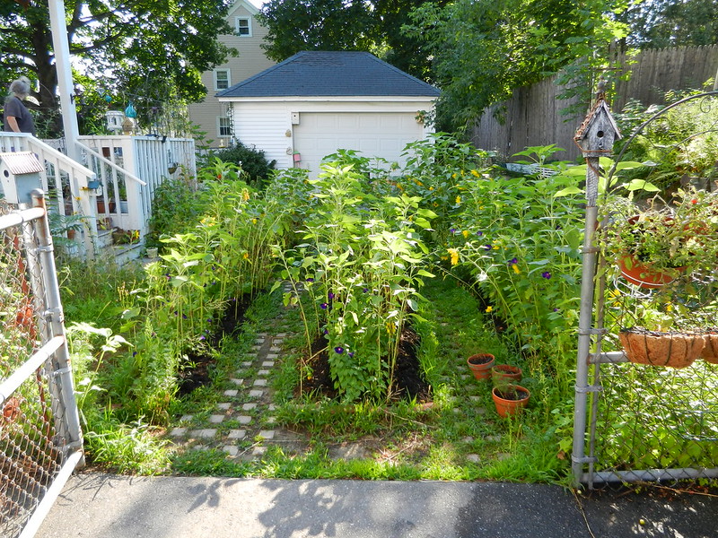 Fast unsichtbarer Gartenweg mit Trittsteinen. Foto: Lake Lou / flickr CC BY 2.0