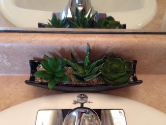 Pflanzen im Badezimmer