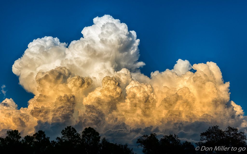Foto: Don Miller / flickr CC BY 2.0