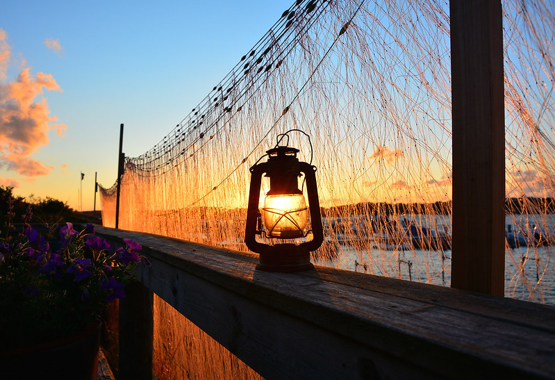 Foto:Peter karlsson / flickr CC BY 2.0