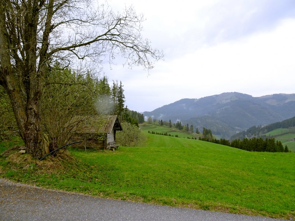 Almenlandschaft Brandlucken, Foto: Johanna Fritz