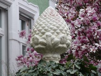 Foto: Johanna Fritz