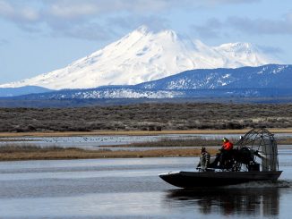 Foto: USFWS Pacific SouthwestRegion / flickr CC BY 2.0