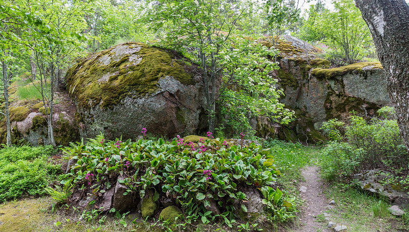 Foto: Maalismaa / flickr CC BY 2.0