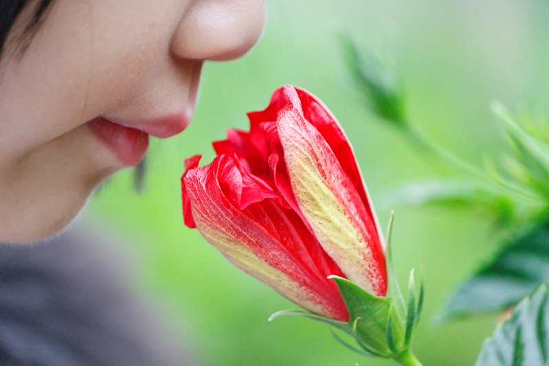 Foto: Dennis Wong, flickr / CC BY 2.0 DEED
