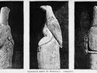 Foto: Simbabwe-Vogel von 1892 / gemeinfrei (Quelle: Wikimedia)